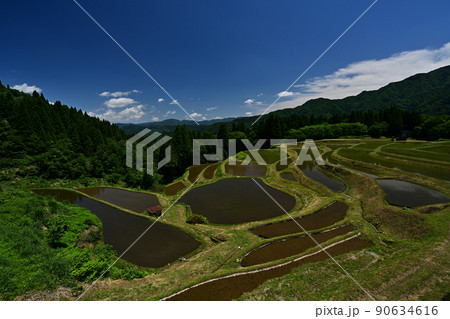 うへ山の棚田より うへ山の棚田より 90634616
