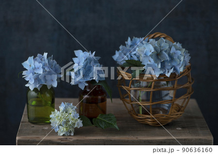 ハイドランジア　青い紫陽花 90636160