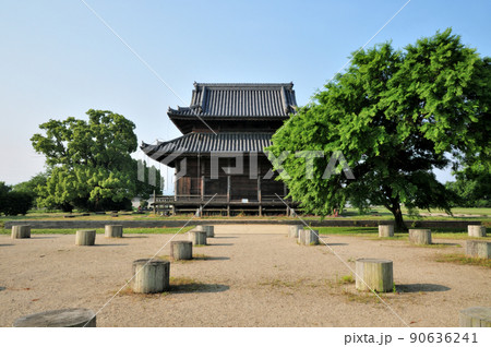 紀伊国分寺跡・本堂　【和歌山県紀の川市】 90636241