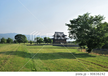 紀伊国分寺跡・本堂 【和歌山県紀の川市】 紀伊国分寺跡・本堂 【和歌山県紀の川市】 90636242
