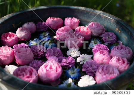 水に浮かぶバラ 水に浮かぶバラ 90636355