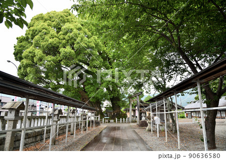 尾鷲神社　拝殿　【三重県尾鷲市】 90636580