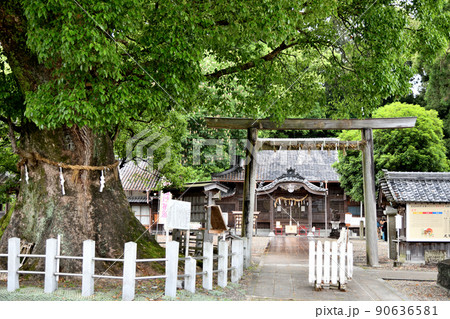 尾鷲神社　拝殿　【三重県尾鷲市】 90636581