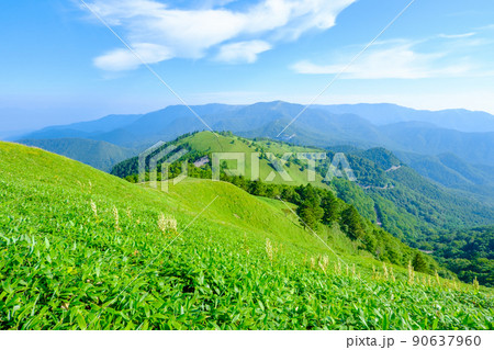 信州ビーナスライン・三峰山トレッキング(山頂の景色) 信州ビーナスライン・三峰山トレッキング(山頂の景色) 90637960