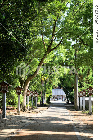 錦織神社(参道・拝殿) 【大阪府富田林市】 錦織神社(参道・拝殿) 【大阪府富田林市】 90638055