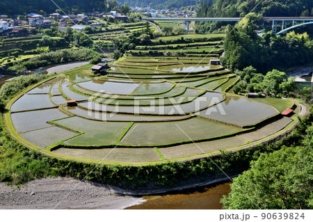 日本の棚田百選「あらぎ島」　【和歌山県有田郡有田川町】 90639824
