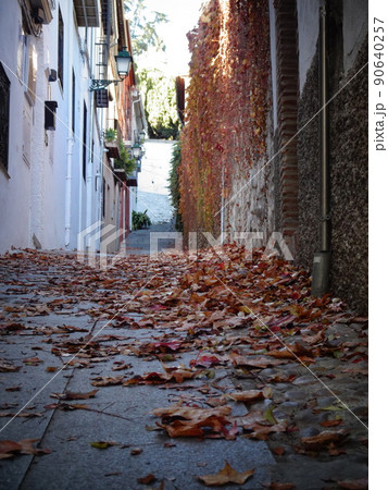 【スペイン】落ち葉が積もったアルバイシン地区の小道(グラナダ) 【スペイン】落ち葉が積もったアルバイシン地区の小道(グラナダ) 90640257