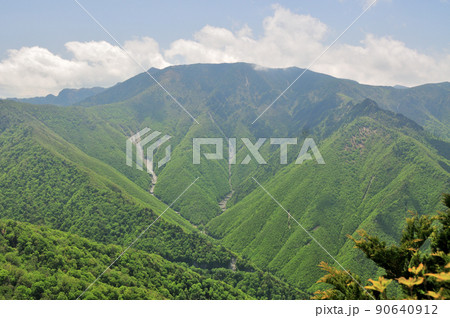 大峰山脈縦走路から弥山・八経ヶ岳を望む(新緑) 【奈良県天川村】 大峰山脈縦走路から弥山・八経ヶ岳を望む(新緑) 【奈良県天川村】 90640912
