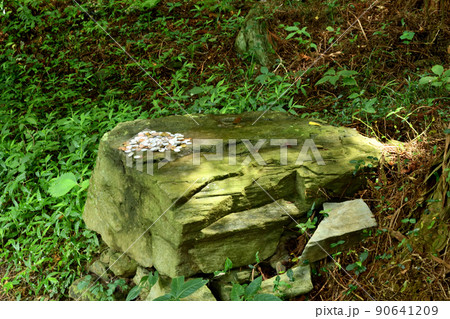 高野山町石道 銭壺石 高野山町石道 銭壺石 90641209