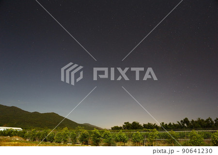 星 スター 夜空 90641230