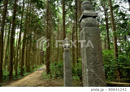 高野山町石道の百四十四町石(左)と一里石(右) 90641242
