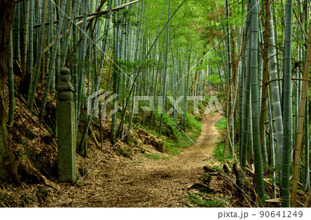 百七十二町石と高野山町石道　【和歌山県九度山町】 90641249