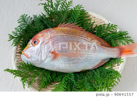 新鮮な鯛 新鮮な鯛 90641557