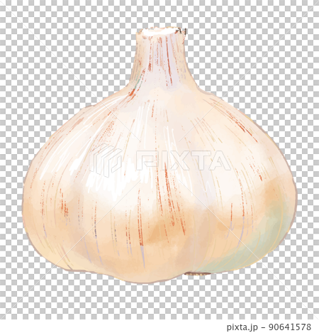 大蒜 大蒜 90641578
