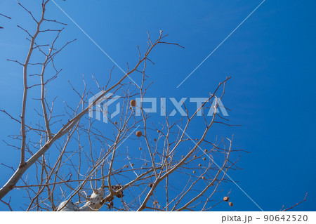 various 90642520