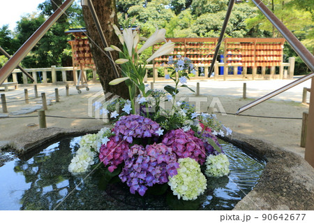 竈門神社の紫陽花の花手水 竈門神社の紫陽花の花手水 90642677