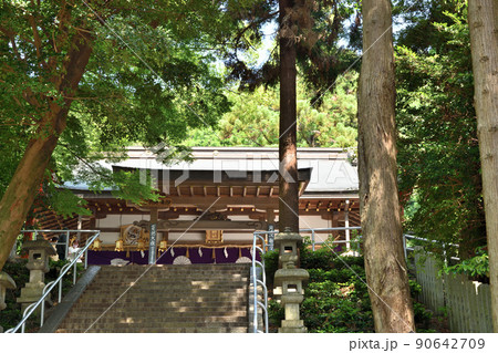 枚岡神社(拝殿) 【大阪府東大阪市出雲井町】 枚岡神社(拝殿) 【大阪府東大阪市出雲井町】 90642709