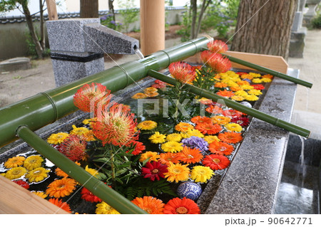 現人神社の花手水 90642771