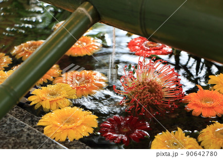 現人神社の花手水 90642780