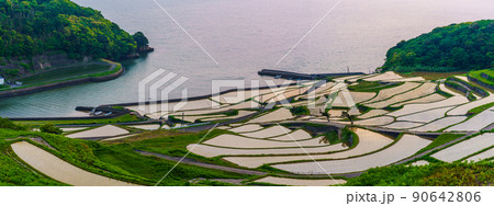 土谷棚田の日没後 パノラマ 【長崎県松浦市】 土谷棚田の日没後 パノラマ 【長崎県松浦市】 90642806