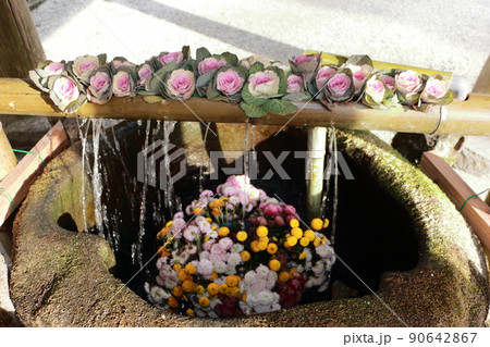 英彦山神宮の花手水 90642867