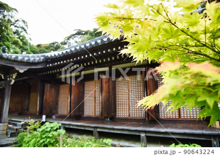 浄瑠璃寺_本堂と紅葉 90643224