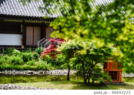 浄瑠璃寺_本堂と木々と祠と池 浄瑠璃寺_本堂と木々と祠と池 90643225