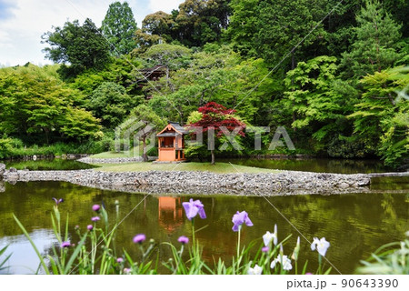 浄瑠璃寺_島の全景 浄瑠璃寺_島の全景 90643390