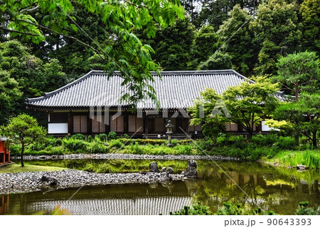 浄瑠璃寺_本堂と池と木木等 90643393