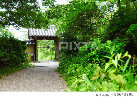 浄瑠璃寺_山門すぐの緑の世界 90643396