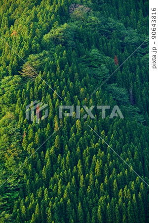 新緑のなめご谷 新緑のなめご谷 90643816