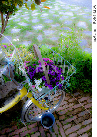 北の国麓郷からの春のお便り 90644206