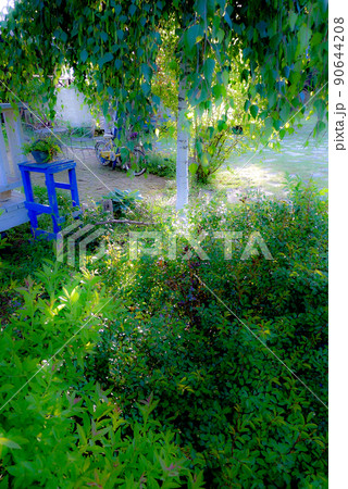 北の国麓郷からの春のお便り 90644208