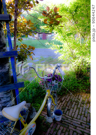 北の国麓郷からの春のお便り 90644247