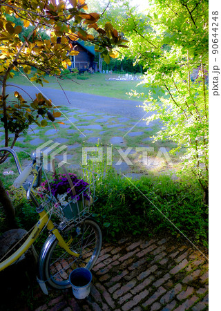 北の国麓郷からの春のお便り 90644248