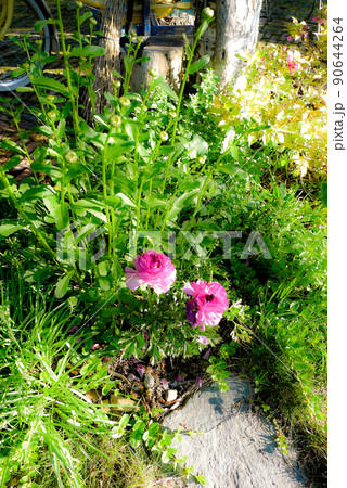 北の国麓郷からの春のお便り 北の国麓郷からの春のお便り 90644264