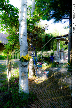 北の国麓郷からの春のお便り 90644271