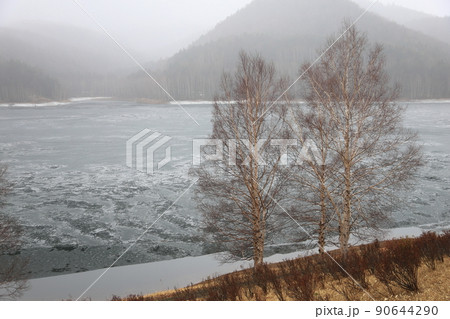 晩秋・初冬・早春の湖畔 晩秋・初冬・早春の湖畔 90644290