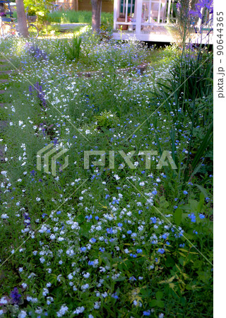 北の国麓郷からの春のお便り 北の国麓郷からの春のお便り 90644365