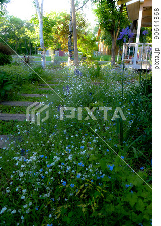 北の国麓郷からの春のお便り 90644368