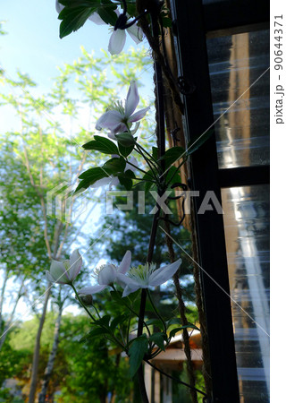 北の国麓郷からの春のお便り 北の国麓郷からの春のお便り 90644371