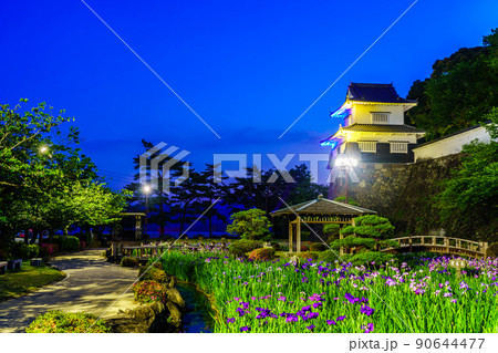 大村公園の花菖蒲　ライトアップ　【長崎県大村市】 90644477
