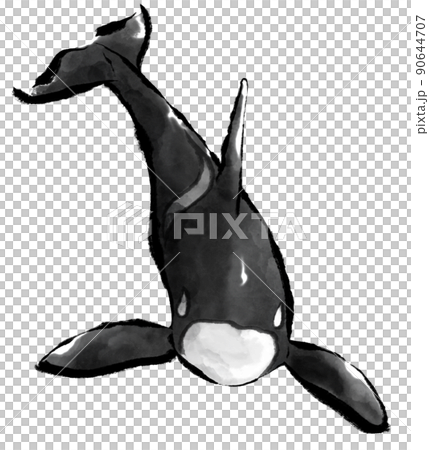 水墨畫風逆戟鯨正面 90644707