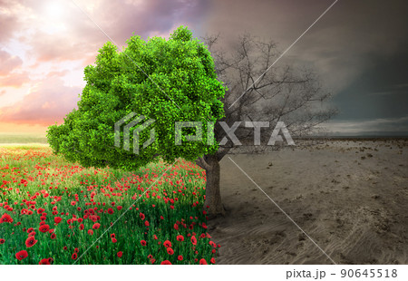 ecological concept with tree and climate changing landscape 90645518