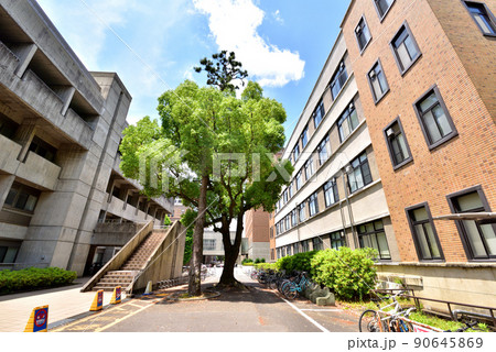 京都大学 中央食堂付近 京都大学吉田キャンパス 京都大学本部構内 京都大学 中央食堂付近 京都大学吉田キャンパス 京都大学本部構内 90645869