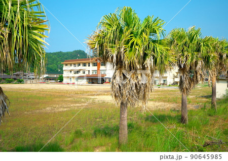 【廃校】旧笠岡市立北木小学校(現・北木島宿泊研修所、北木島診療所)の風景1 岡山県笠岡市 【廃校】旧笠岡市立北木小学校(現・北木島宿泊研修所、北木島診療所)の風景1 岡山県笠岡市 90645985