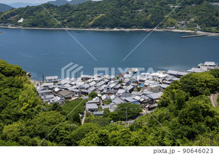 歴史の見える丘公園から見る御手洗の町並み 90646023