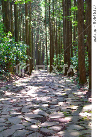 箱根旧街道　三島付近 90646327