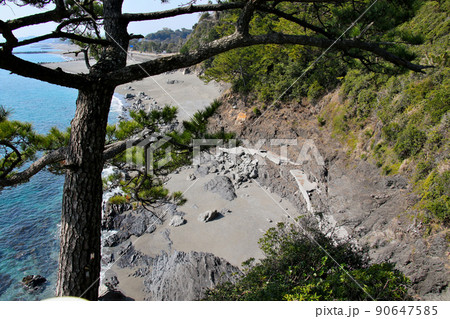 高知県高知市桂浜 下竜頭岬　龍王宮(海津見神社)から西側の浜を望む 90647585