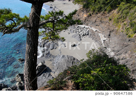 高知市桂浜 下竜頭岬　龍王宮(海津見神社)から西側の浜を望む 90647586